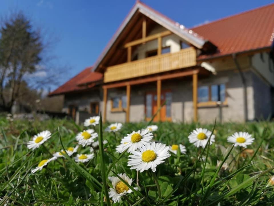 Wandertraum Johann - Eifel Apartment