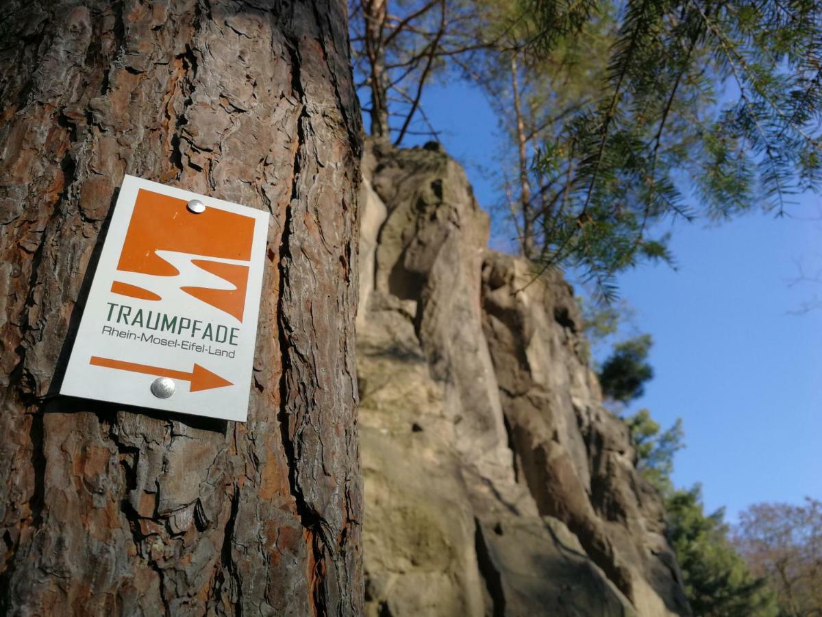 Wandertraum Johann - Eifel Apartment *